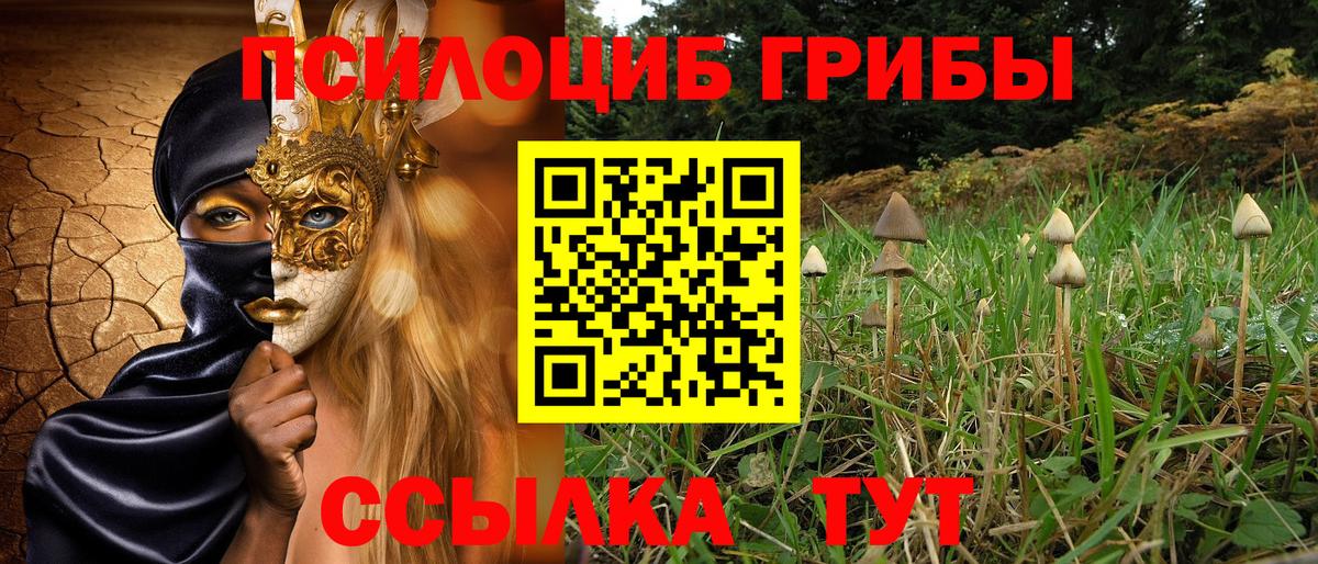 Псилоцибиновые грибы прущие грибы Воронеж