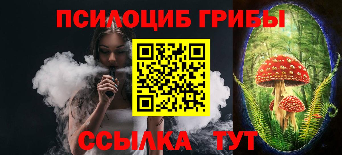 Воронеж  Галлюциногенные грибы Psilocybine cubensis  Вход с VPN 